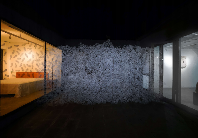 微信图片_2026-01-12_115333_036