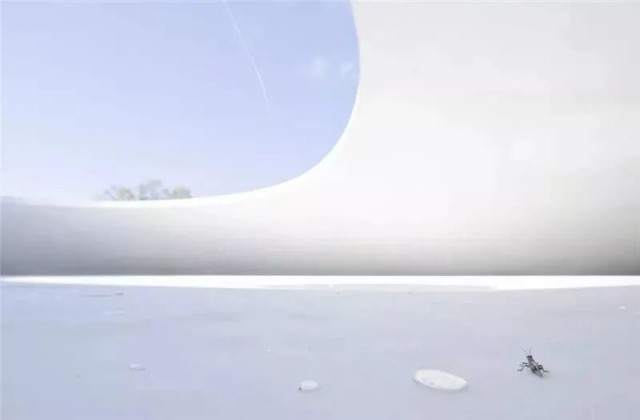 微信图片_2026-01-12_115227_453