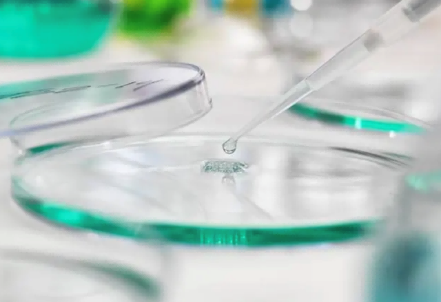 微信图片_2026-01-19_091330_508 微信图片_2026-01-19_091330_508