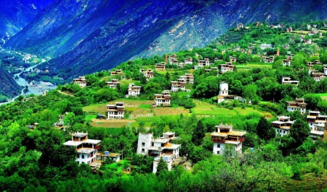 微信图片_2026-01-20_093839_649