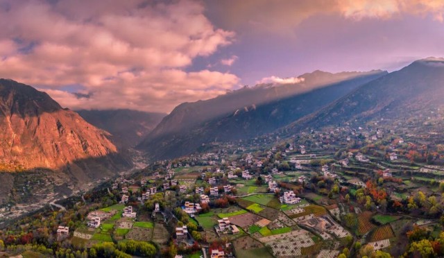 微信图片_2026-01-20_093843_618