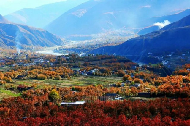 微信图片_2026-01-20_093904_476