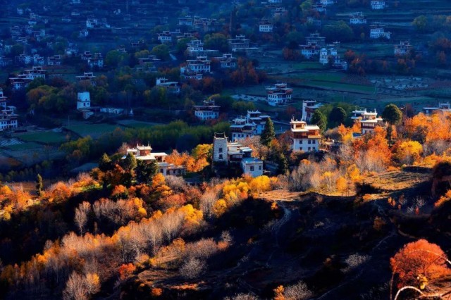 微信图片_2026-01-20_093908_226