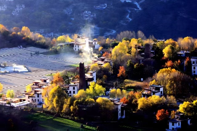 572a6a3fc1035f9f2e922c35e2fa9ddb