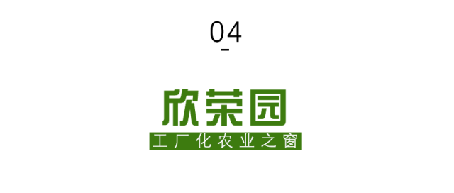 微信图片_2026-01-26_092340_438