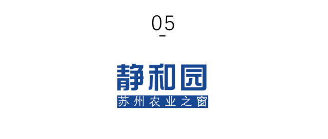 微信图片_2026-01-26_092455_044