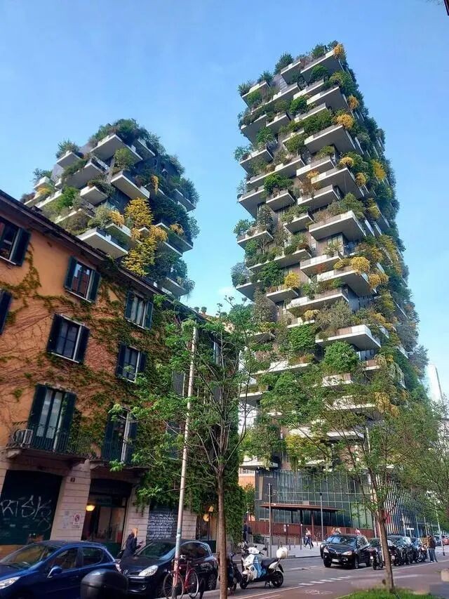 微信图片_2026-01-04_165025_993