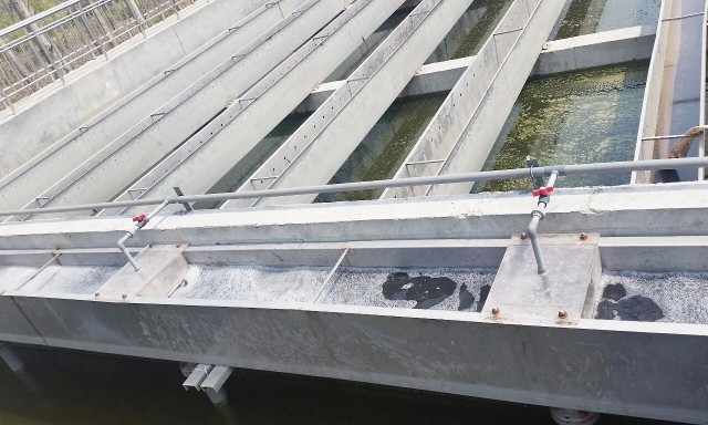 微信图片_2026-02-02_164133_247