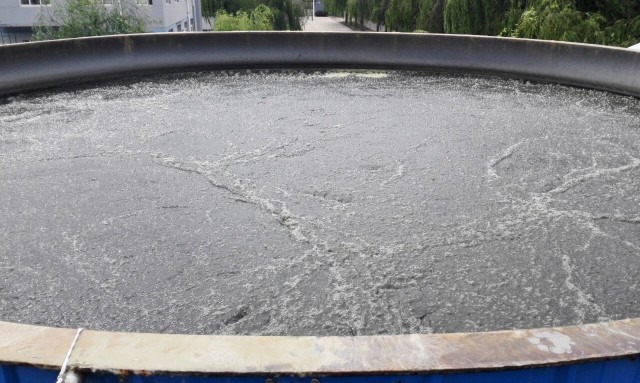 微信图片_2026-02-02_164153_350