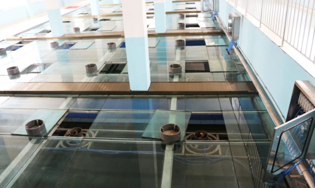 微信图片_2026-02-02_164252_196