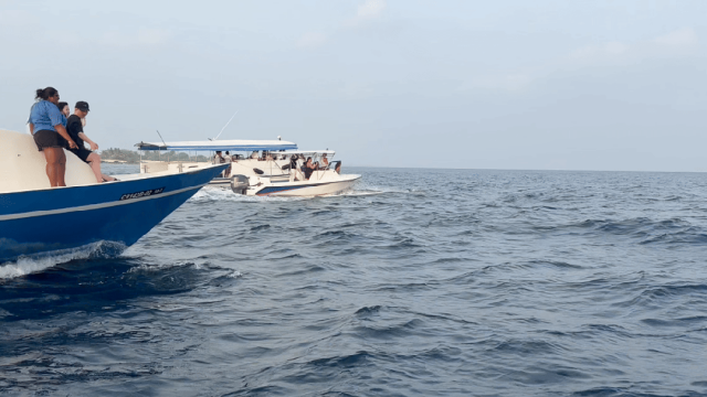 640_wps图片_19 640_wps图片_19