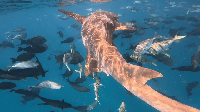 640 (4)_wps图片_5 640 (4)_wps图片_5