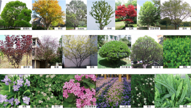 微信图片_2026-01-28_113601_480 微信图片_2026-01-28_113601_480