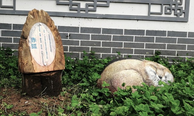 微信图片_2026-02-24_143832_236