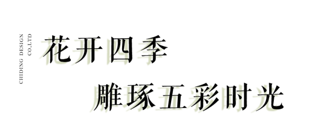 微信图片_2026-02-25_160017_535